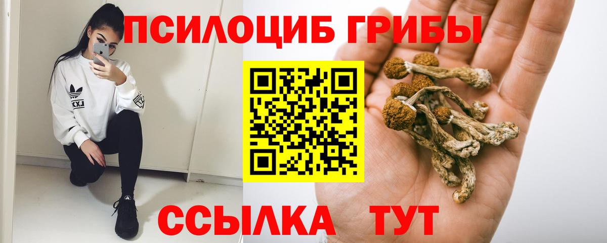 Галлюциногенные грибы MAGIC MUSHROOMS Санкт-Петербург